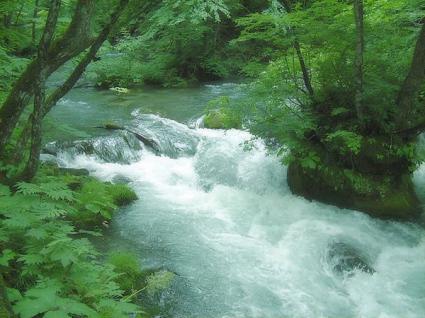 ミネラルウォーター・飲料水について