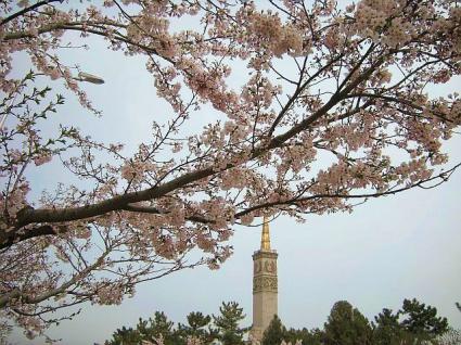 勝利塔（旅顺 胜利塔）