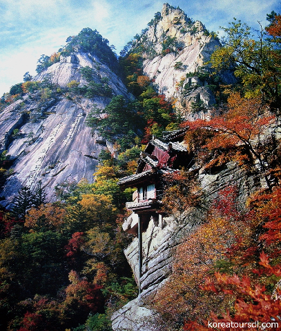 イメージ画像1