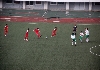 FIFAワールドカップアジア2次予選 朝鮮ホーム戦の観戦（オプション）