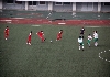 FIFAワールドカップアジア2次予選 朝鮮ホーム戦の観戦(オプション)