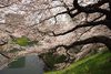 【早割チケット】広島3,300元~ 福岡3,350元~ 大阪3,450元~ 東京3,650元~。